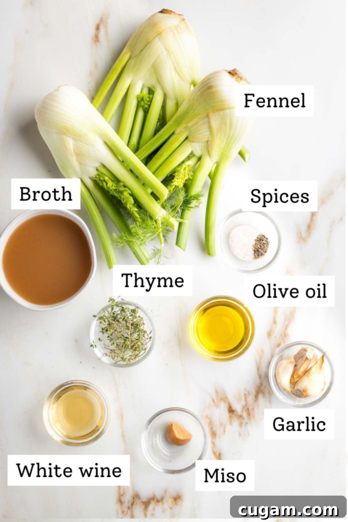 Collection of labeled ingredients for braised fennel: fresh fennel bulbs, vegetable broth, thyme sprigs, white wine, olive oil, miso paste, and minced garlic.