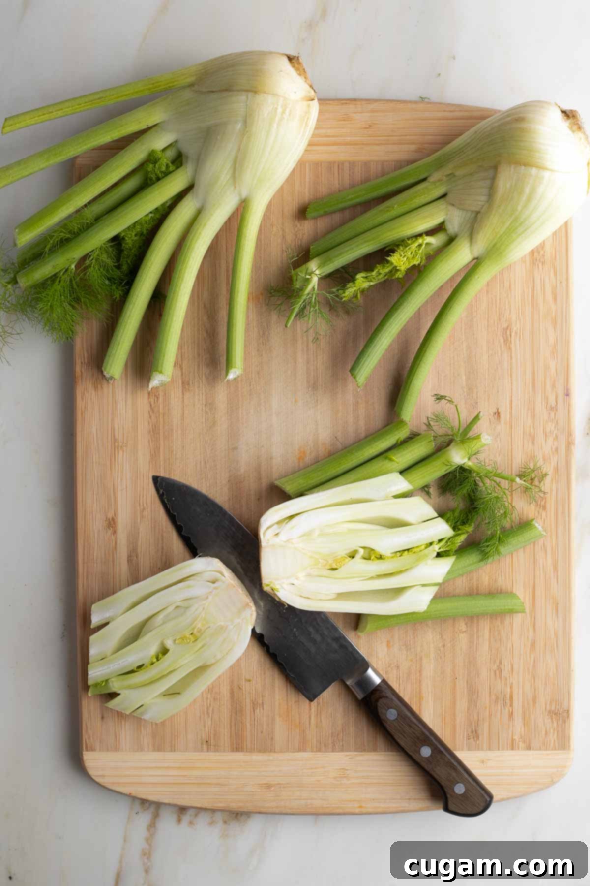 A white fennel bulb neatly cut in half vertically, showing the core.