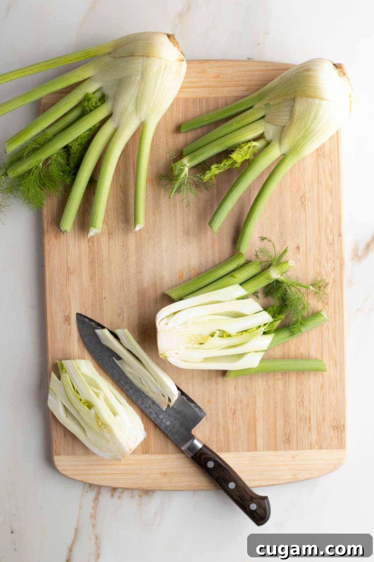 Cutting a fennel half into wedges, ensuring a piece of the core remains in each wedge.