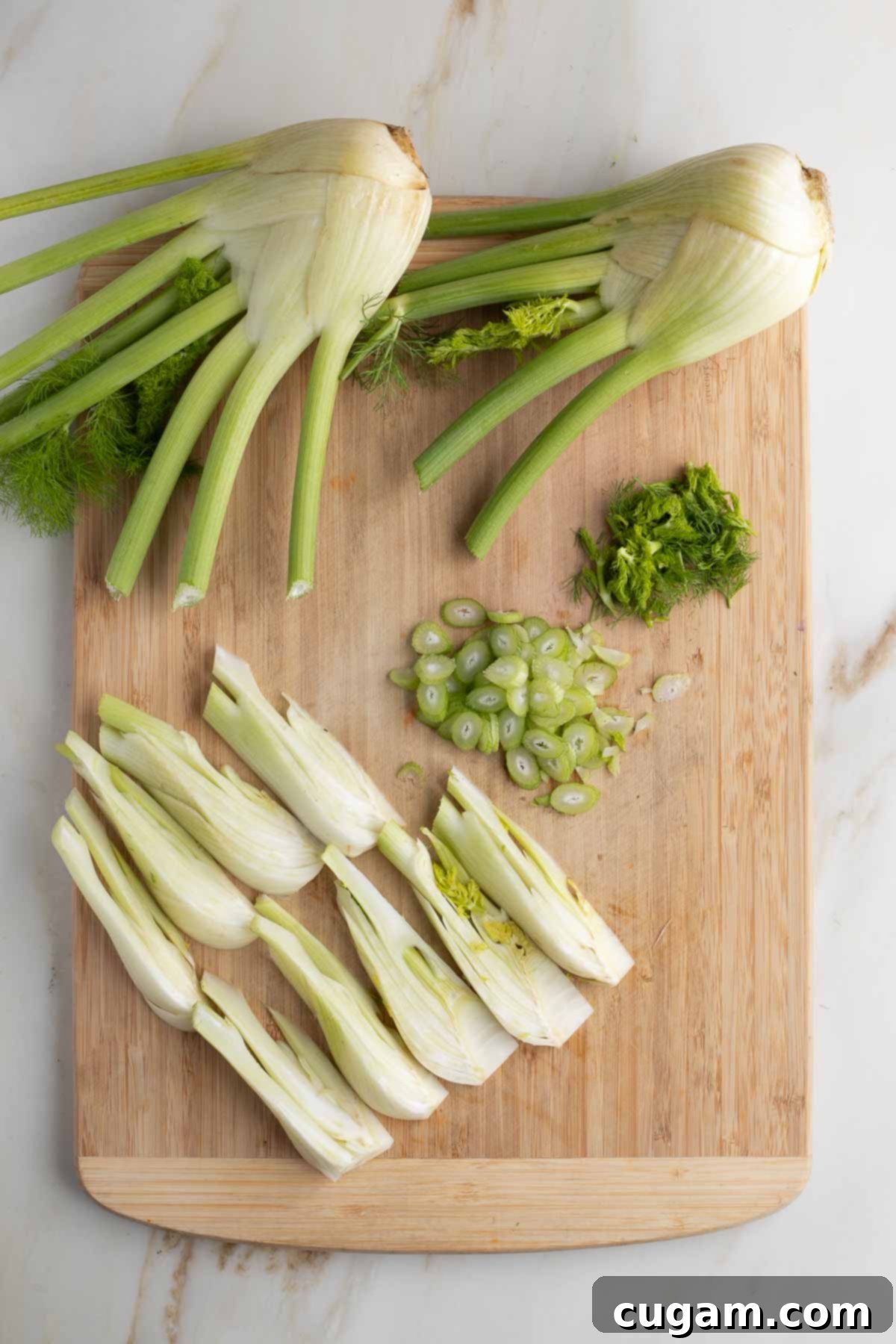 Prepared fennel components: wedges laid out, thinly sliced stalks, and a pile of chopped fronds for garnish.