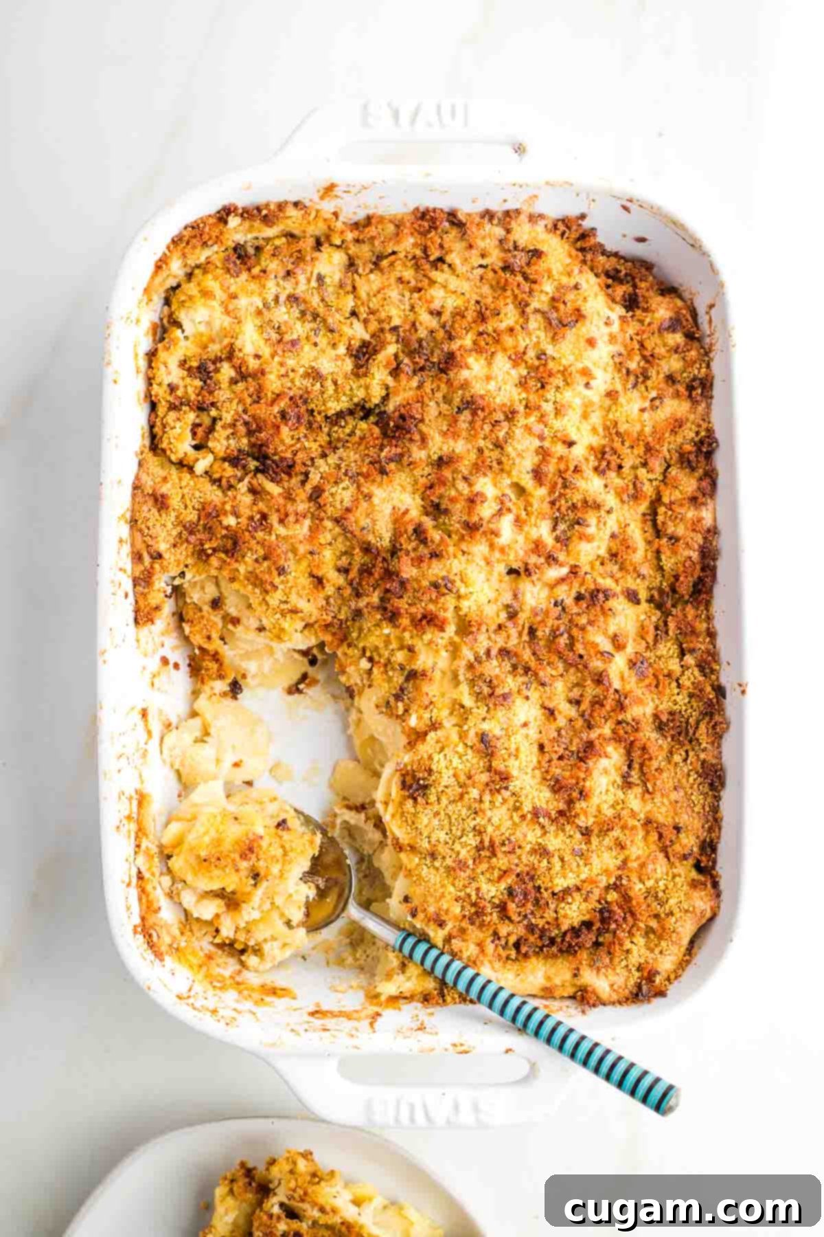 Thin discs of parsnip layered in a dish, covered in creamy sauce, topped with bread crumbs. 