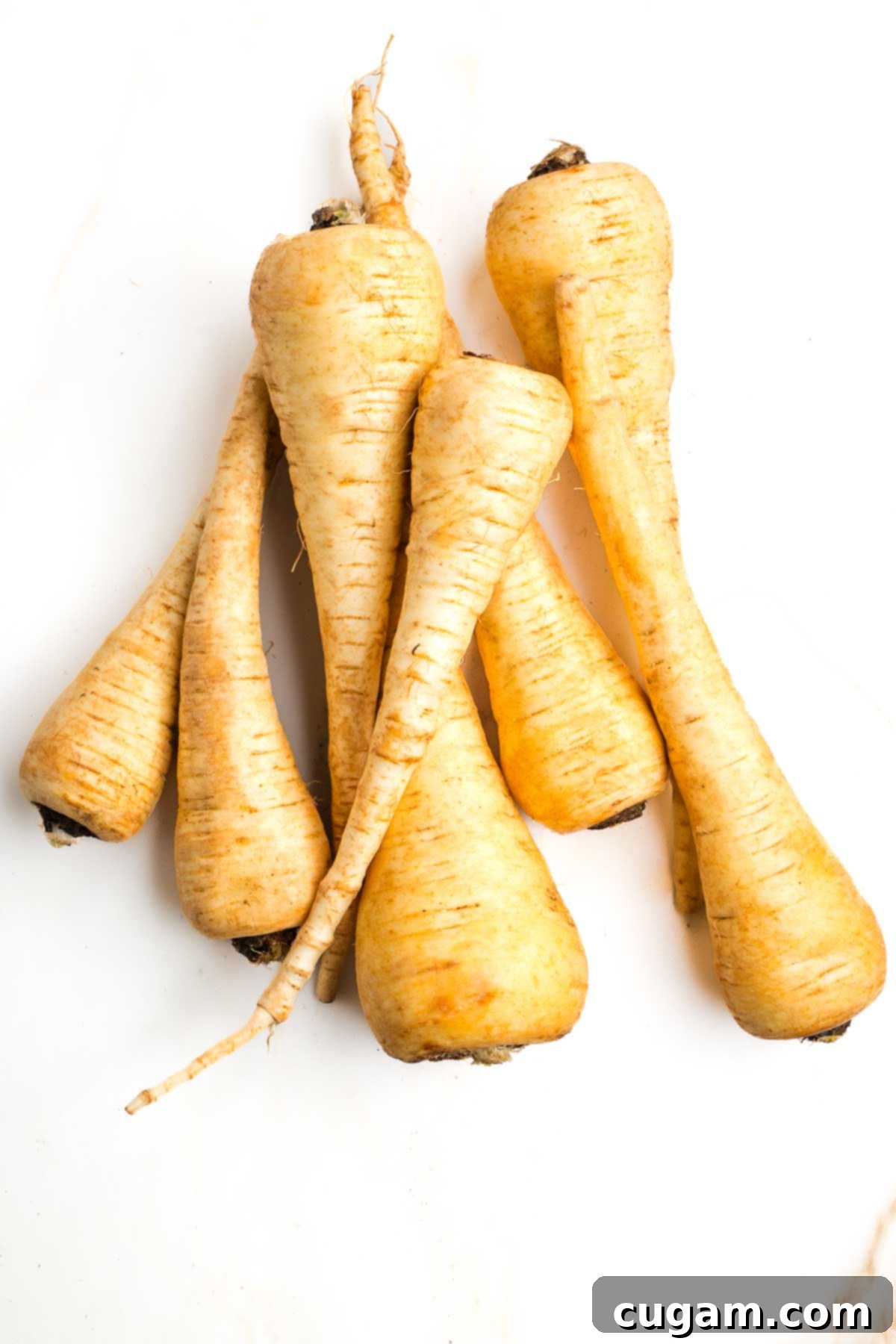 2 ½ pounds of parsnips stacked on a counter.