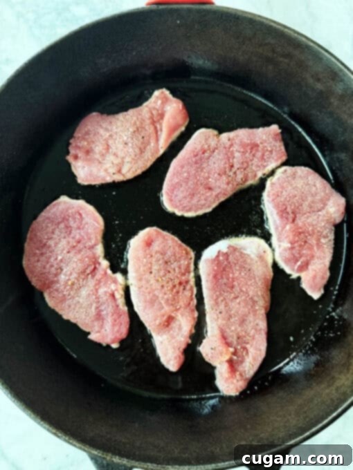Overhead shot of pork medallions arranged in a skillet for searing