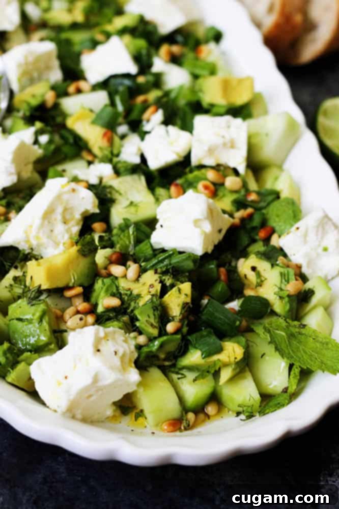 Closeup shot of cucumber and feta salad, showing the vibrant green cucumber, white feta, and fresh herbs, with a glistening drizzle of dressing.