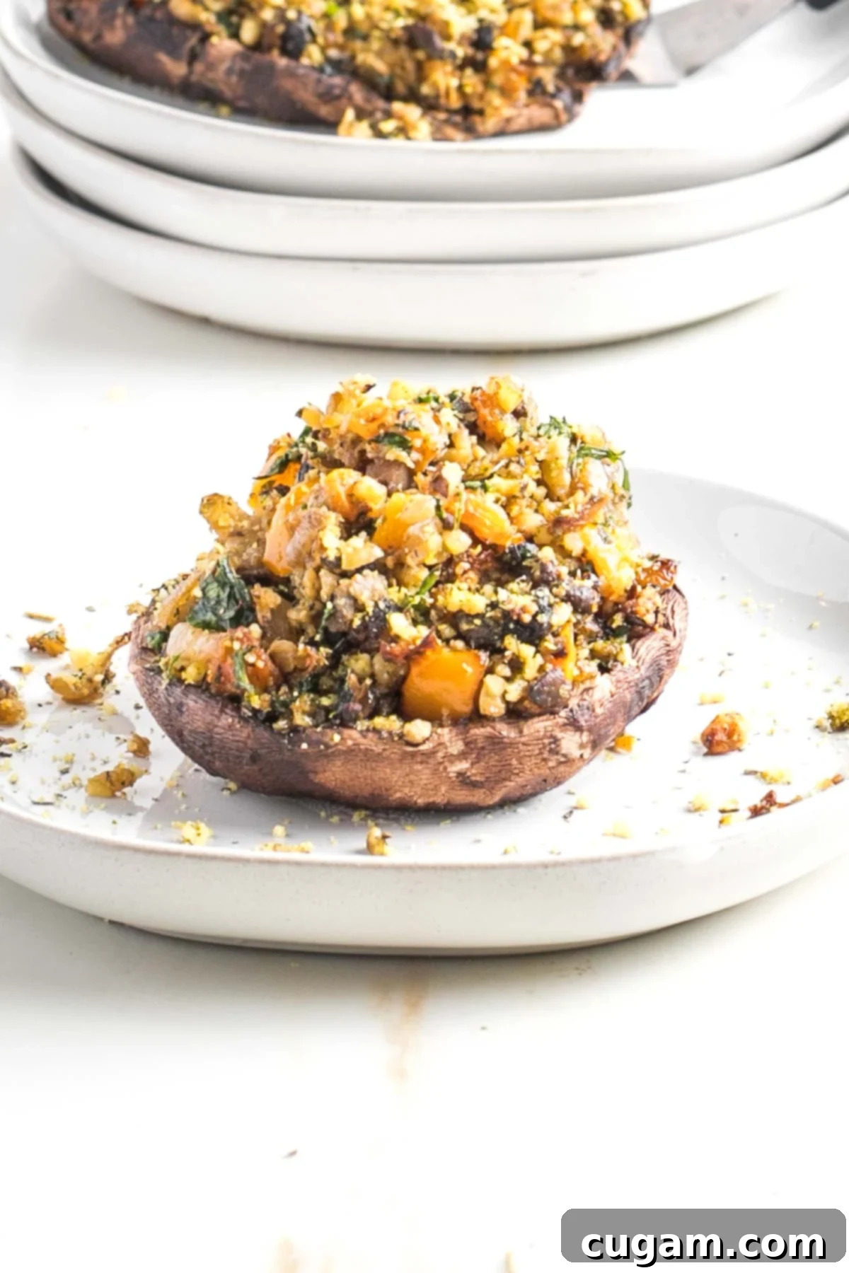 A portobello mushroom with a generous amount of filling and garnishes.