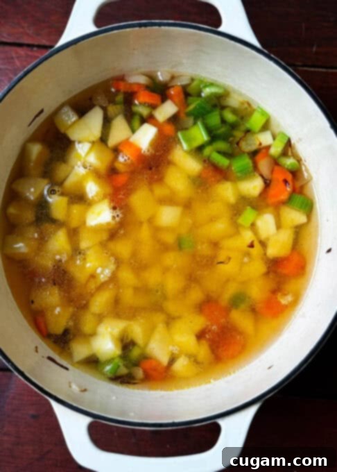 Broth poured over vegetables in the pot, simmering gently