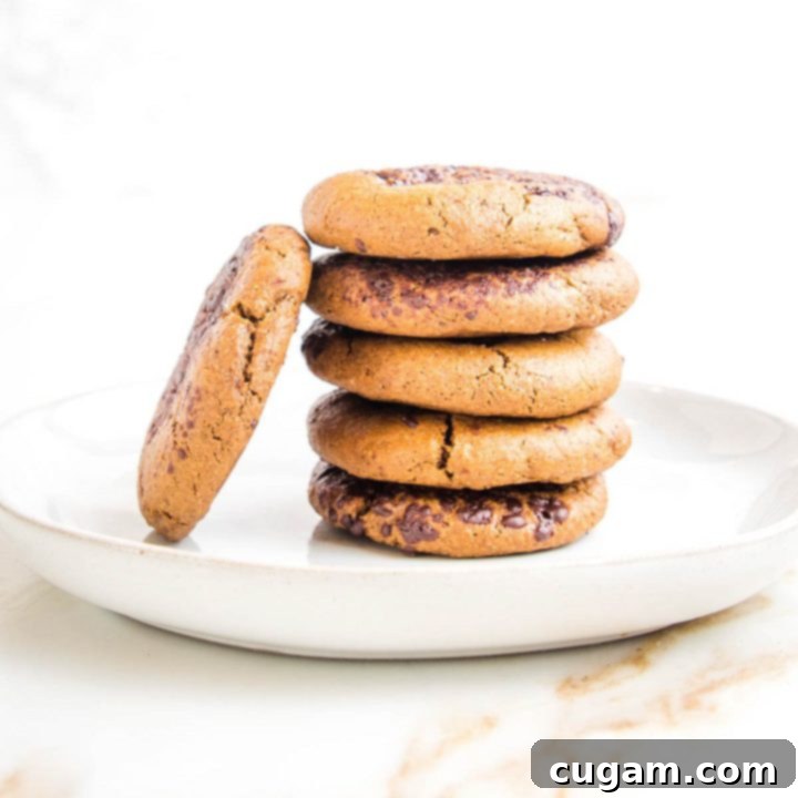 Creamy Vegan Tahini Recipes 3 A charming stack of freshly baked vegan ginger cookies, with a sprinkle of melted chocolate and one cookie artfully leaning against the stack.
