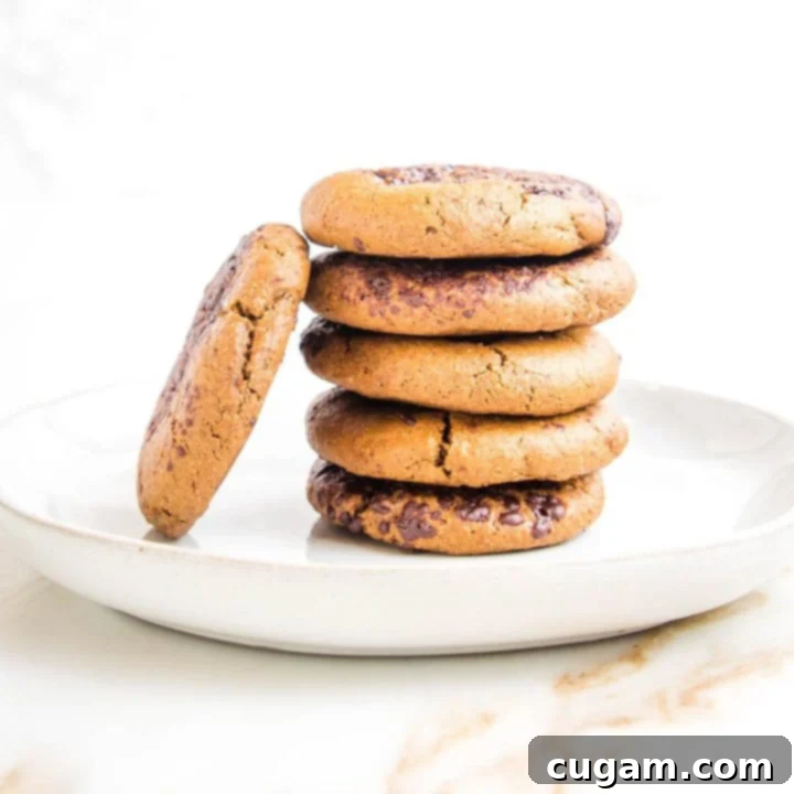 Stack of ginger cookies with some melted chocolate sprinkles and one leaning against the stack.