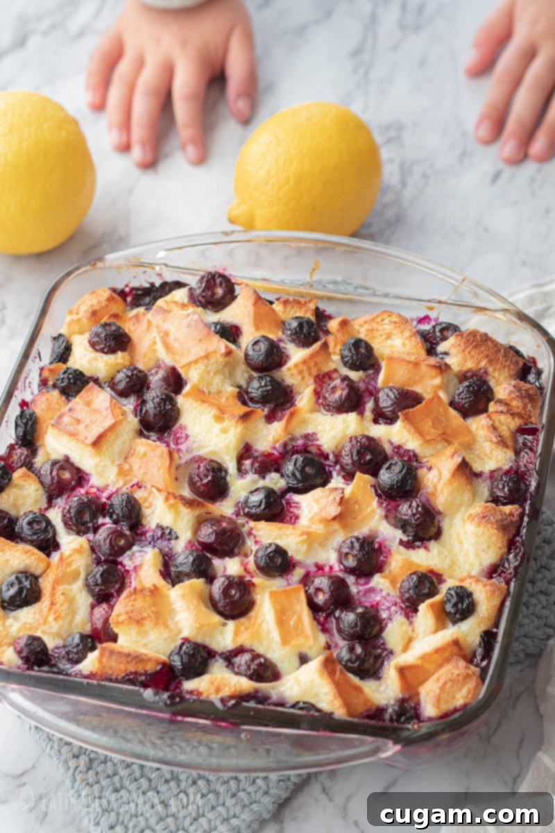 Baked bread pudding with blueberries in glass pan with lemons.