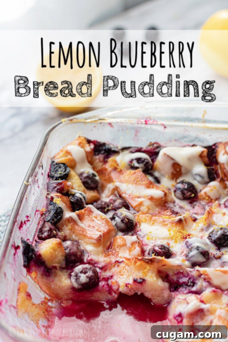 Baked Bread Pudding in glass pan with blueberries and lemon.