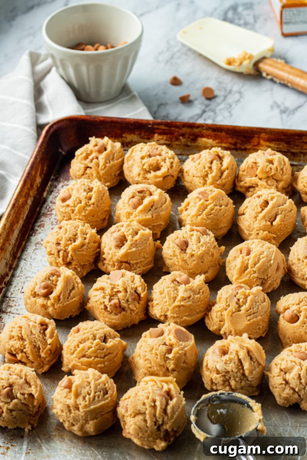 Butterscotch Chip Cookies are chewy, and have butterscotch pudding mix and butterscotch chips in them to add all that lovely caramel flavor. Rows of raw butterscotch chip cookie dough balls on a pan