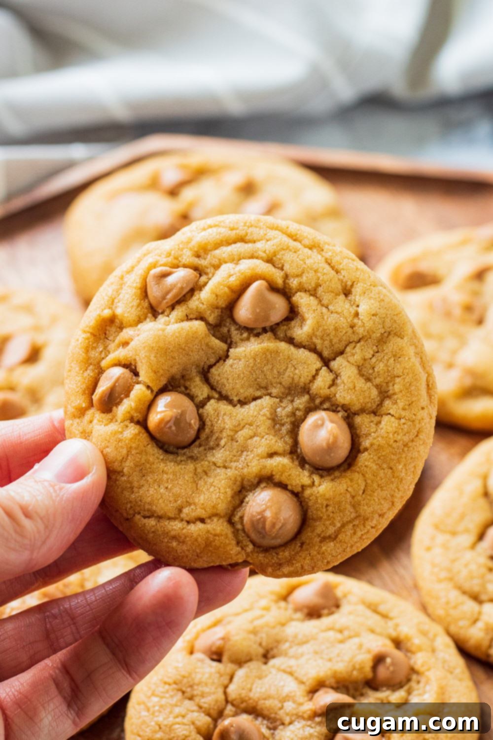 Butterscotch Chip Cookies are chewy, and have butterscotch pudding mix and butterscotch chips in them to add all that lovely caramel flavor. hand holding a baked butterscotch chip cookie