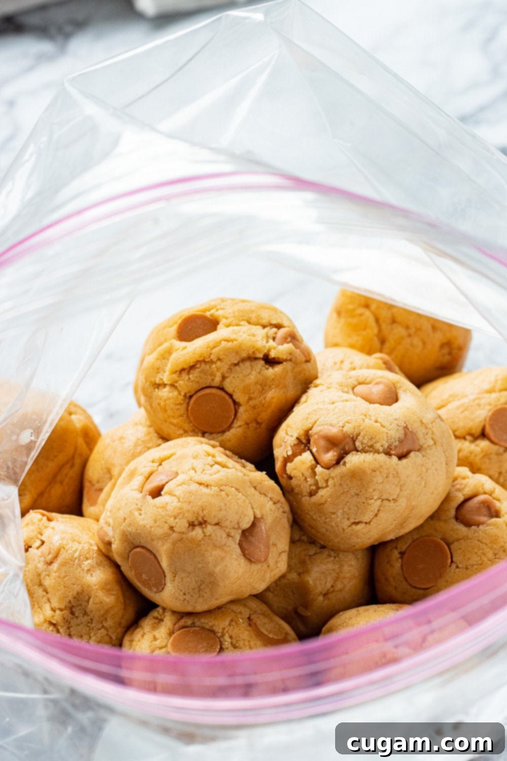 Butterscotch Chip Cookies are chewy, and have butterscotch pudding mix and butterscotch chips in them to add all that lovely caramel flavor. ziploc bag with butterscotch cookie dough balls inside