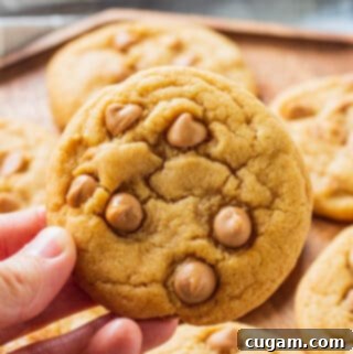 Irresistible Butterscotch Cookies 2 img 2424 6