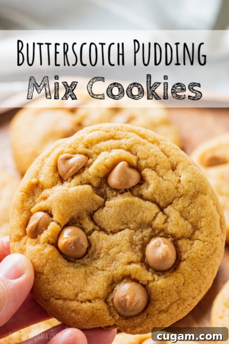 Butterscotch Chip Cookies are chewy, and have butterscotch pudding mix and butterscotch chips in them to add all that lovely caramel flavor. hand holding baked butterscotch chip cookie with text overlay
