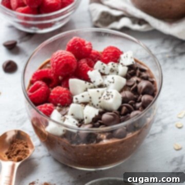 Glass bowl of brownie batter overnight oats with spoon of cocoa powder nearby.