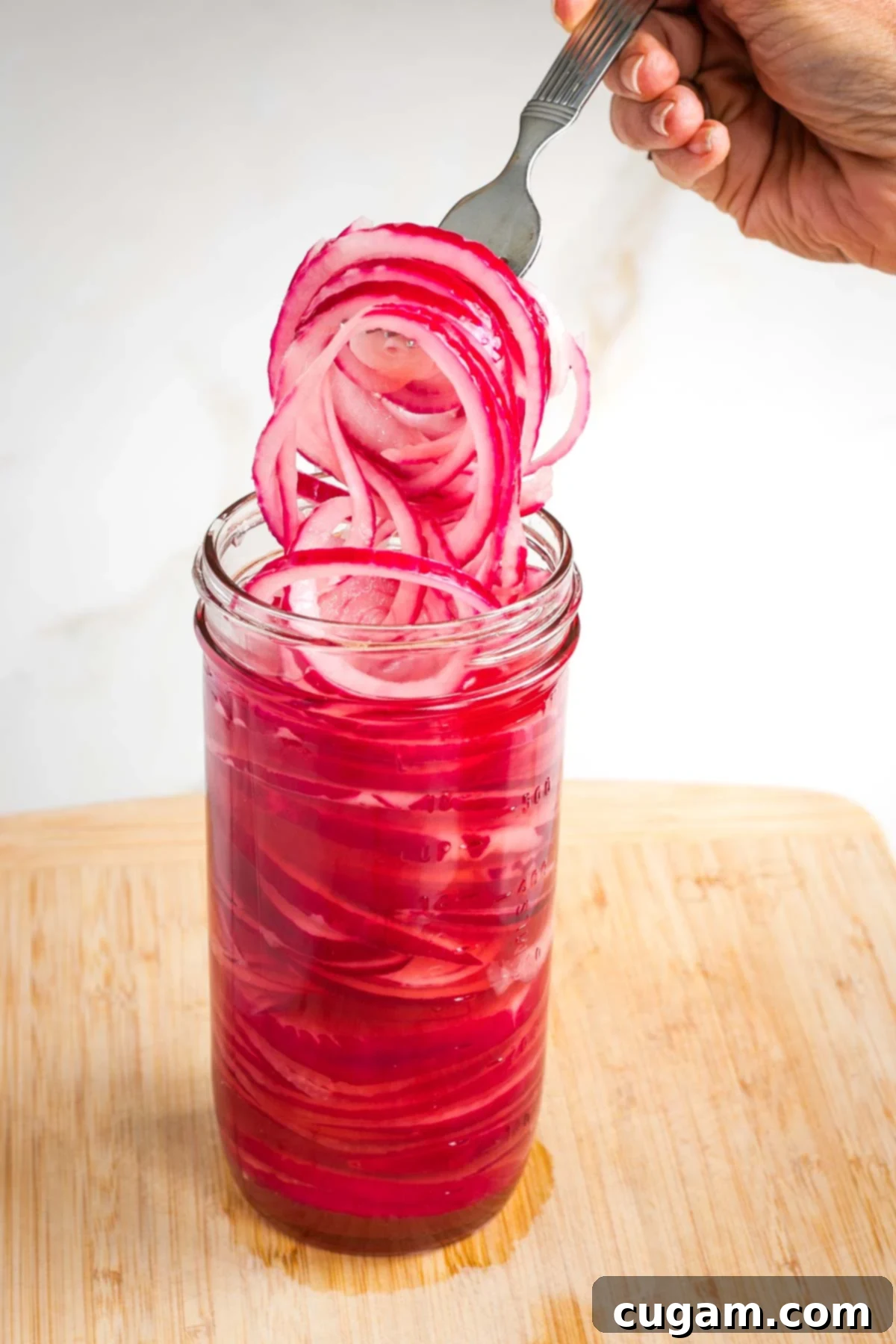 Fork pulling out a pile of pickled red onions out of a jar. 