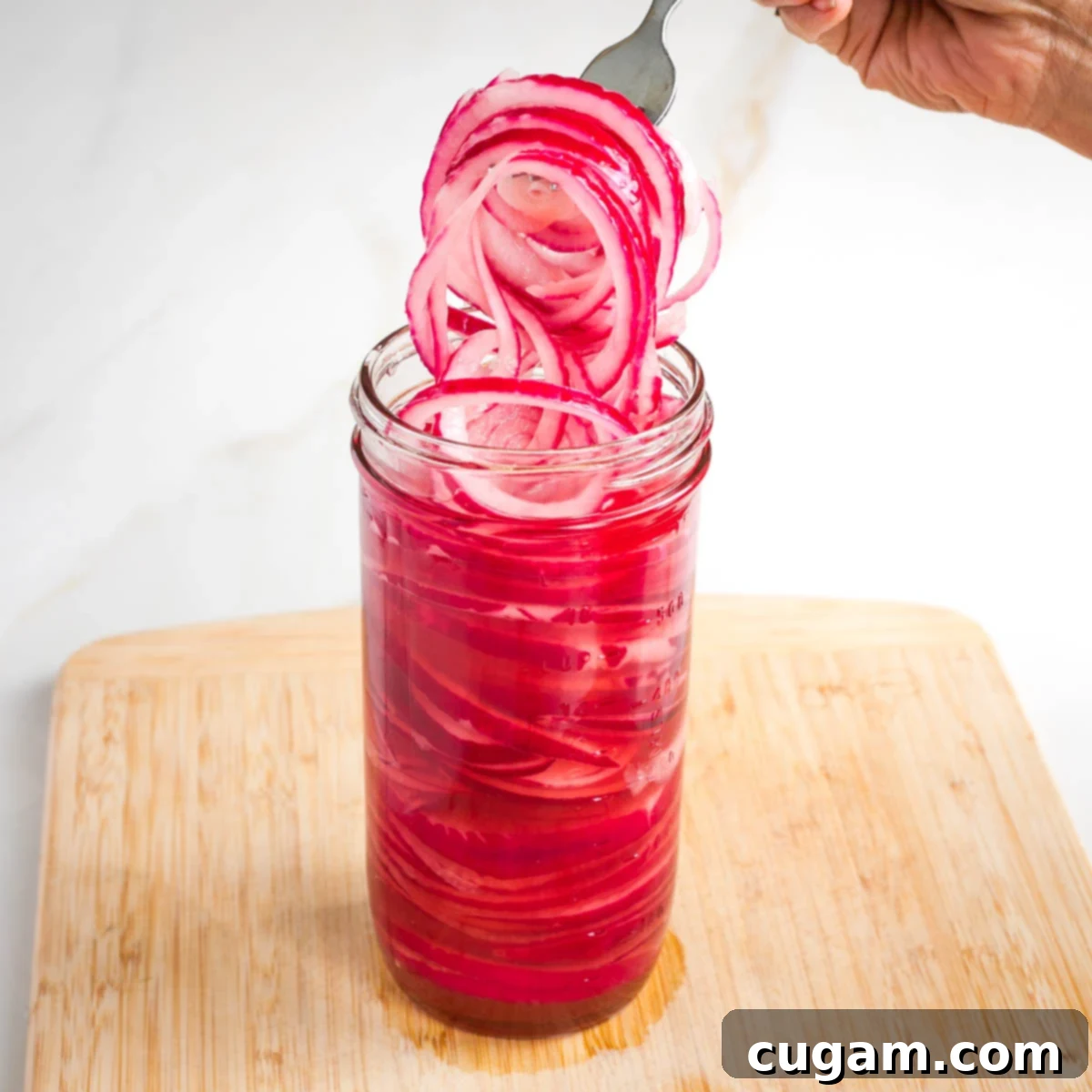A forkful of pickled red onions coming out of a jar of more.