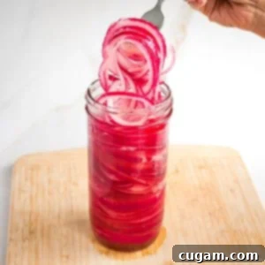 A forkful of pickled red onions coming out of a jar of more.