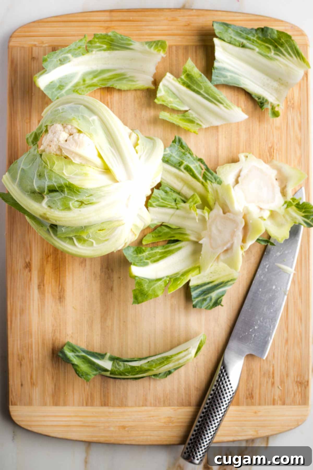 Head of cauliflower, with leaves trimmed off. 