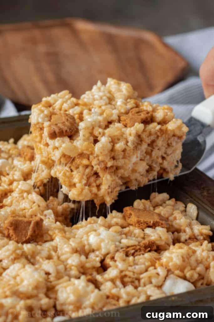 A spatula lifting a perfect slice of gooey Cookie Butter Rice Krispie Treat, showcasing its chewy marshmallow texture and Biscoff crumbs.