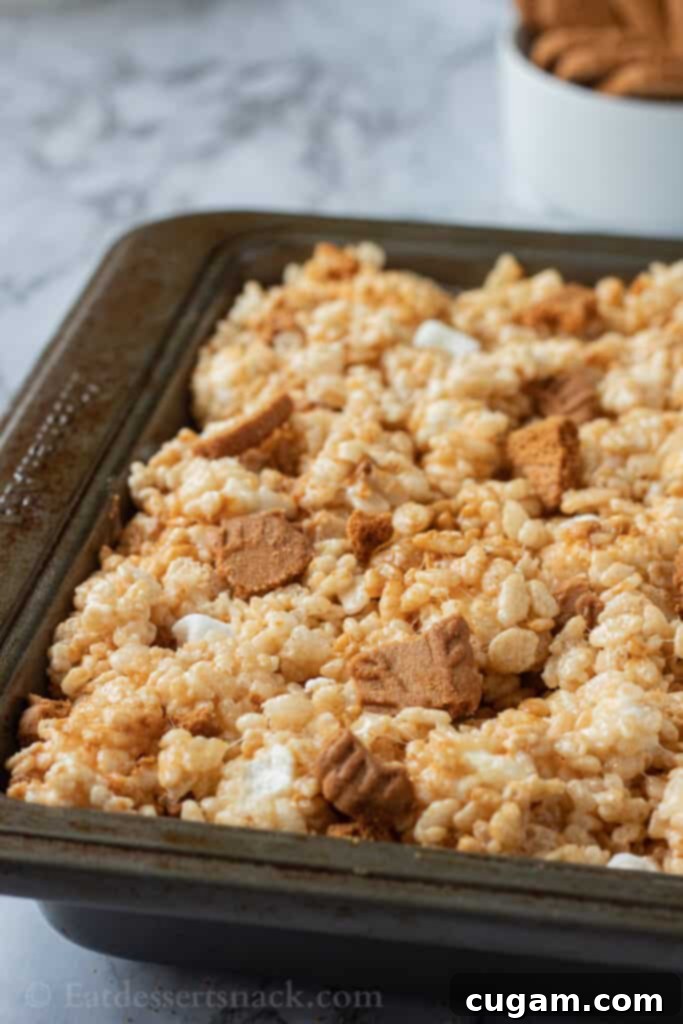 A pan full of freshly made Cookie Butter Rice Krispie Treats, perfectly set and ready to be sliced.