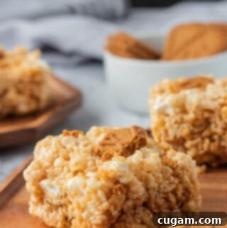 A perfectly sliced Cookie Butter Rice Krispie Treat on a wooden plate, showing its gooey interior and crispy texture.