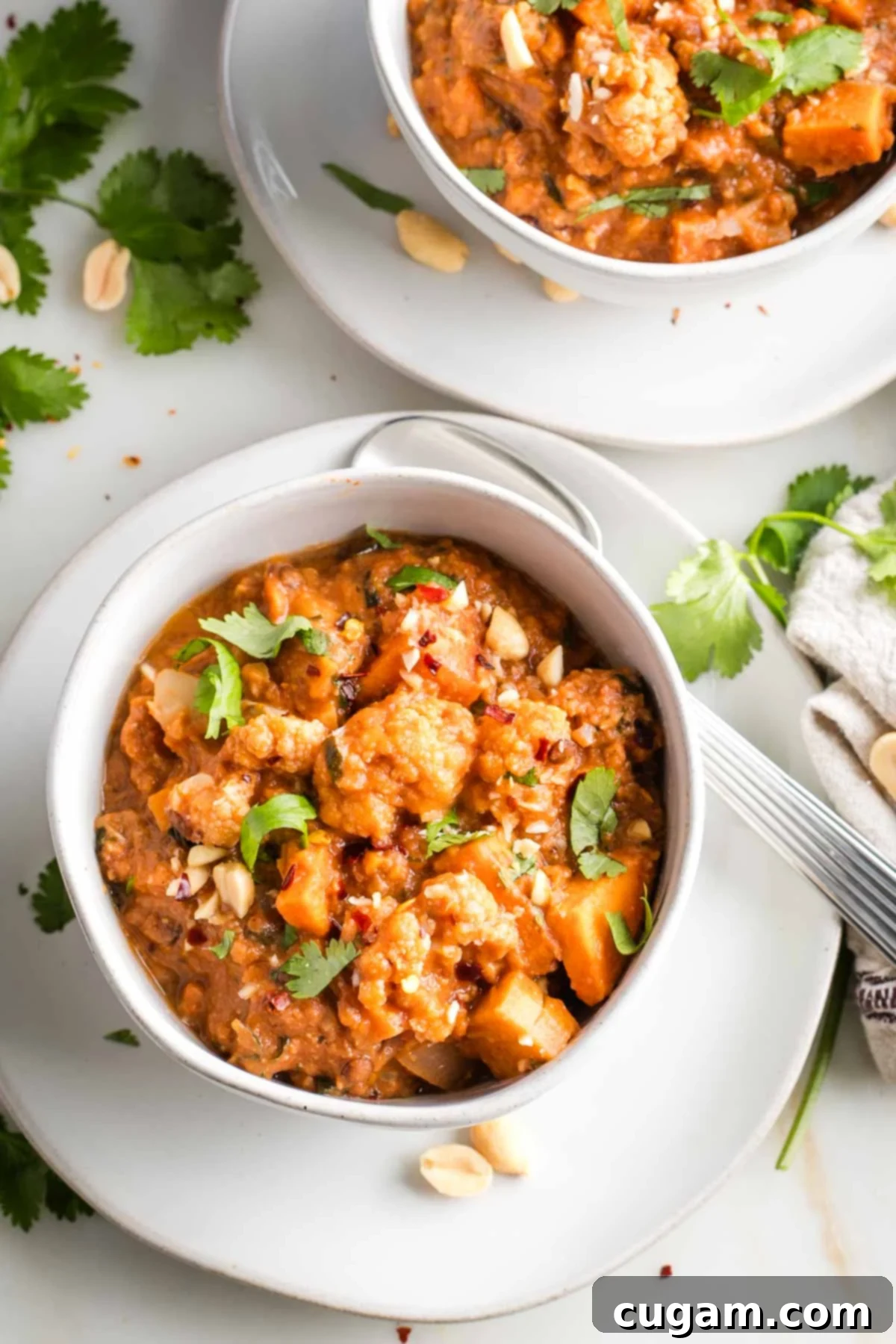 Bowl of chunky tomato based stew with fresh herbs and peanuts.