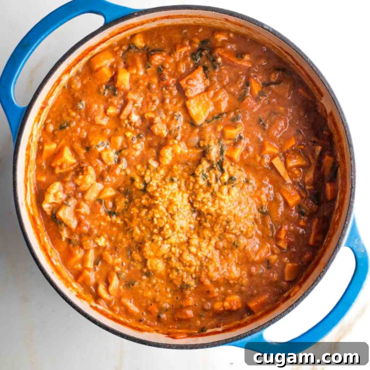 Dutch oven filled with chunky stew, and one section that has been pureed into a creamy base.