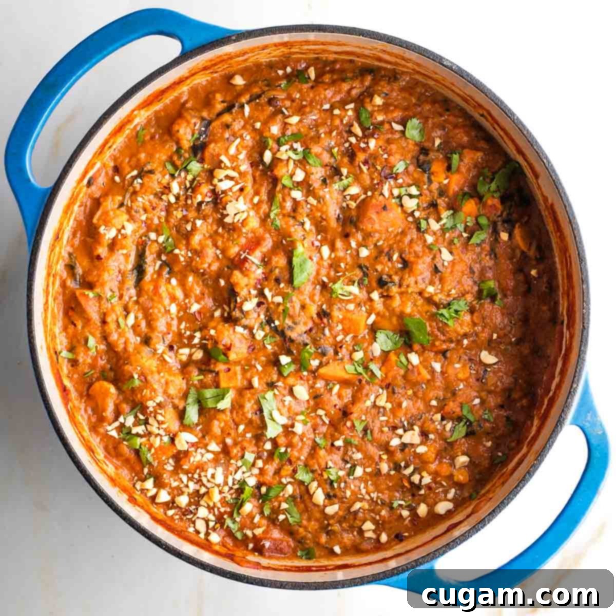 Chunky veggie stew garnished with fresh cilantro, chopped peanuts and crushed red pepper.