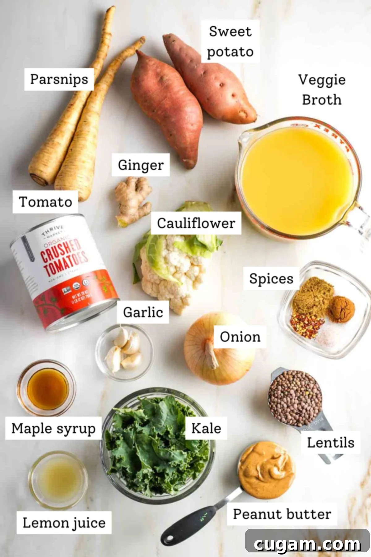 Labeled ingredients like sweet potatoes, veggie broth, canned tomatoes, garlic, ginger, kale, peanut butter and lentils to make a vegan stew.