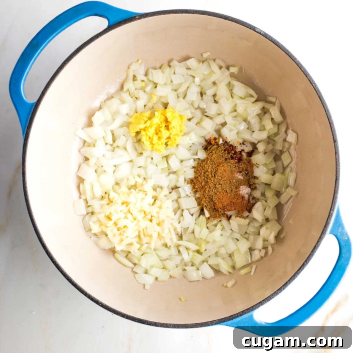Dutch oven with sauteed onions plus ginger, garlic and spices.