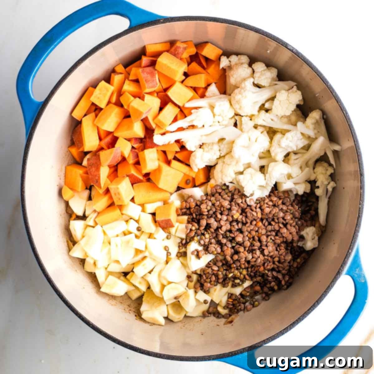 Chopped sweet potatoes, parsnips, cauliflower and rinsed lentils in a dutch oven on top of sauteed aromatic veggies.