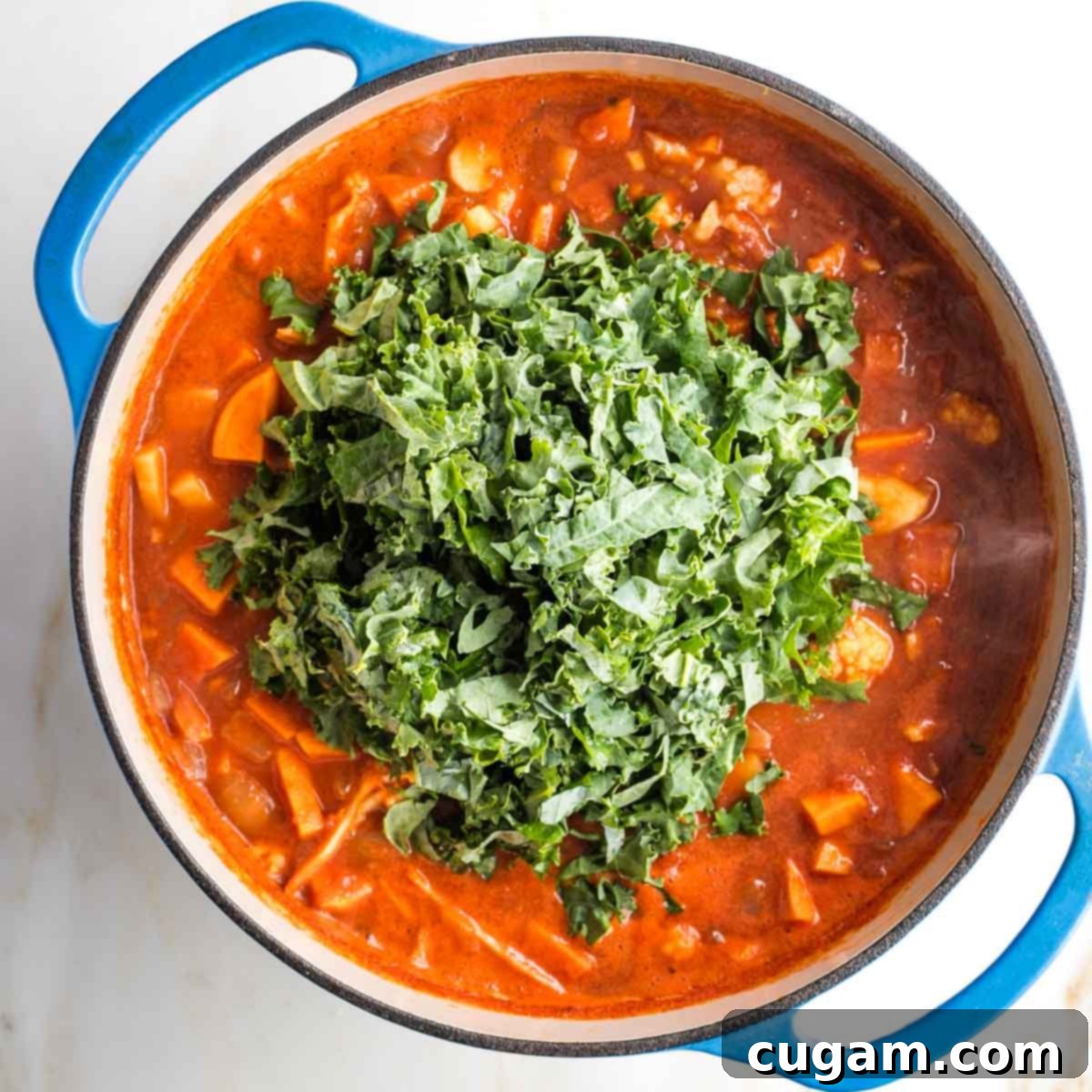 Pile of chopped kale on top of a tomato broth filled with chopped veggies.