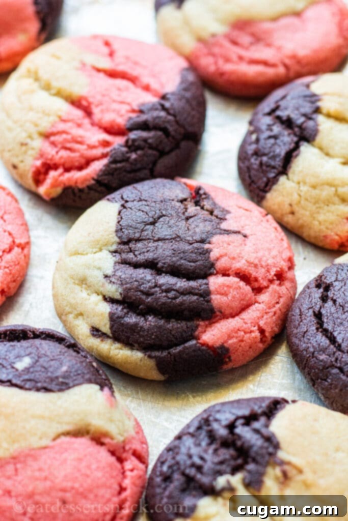 Neapolitan Layered Cookies 2 Freshly baked Neapolitan cookies with distinct vanilla, chocolate, and strawberry swirls arranged on a metal baking pan, showcasing their soft, chewy texture and vibrant colors.