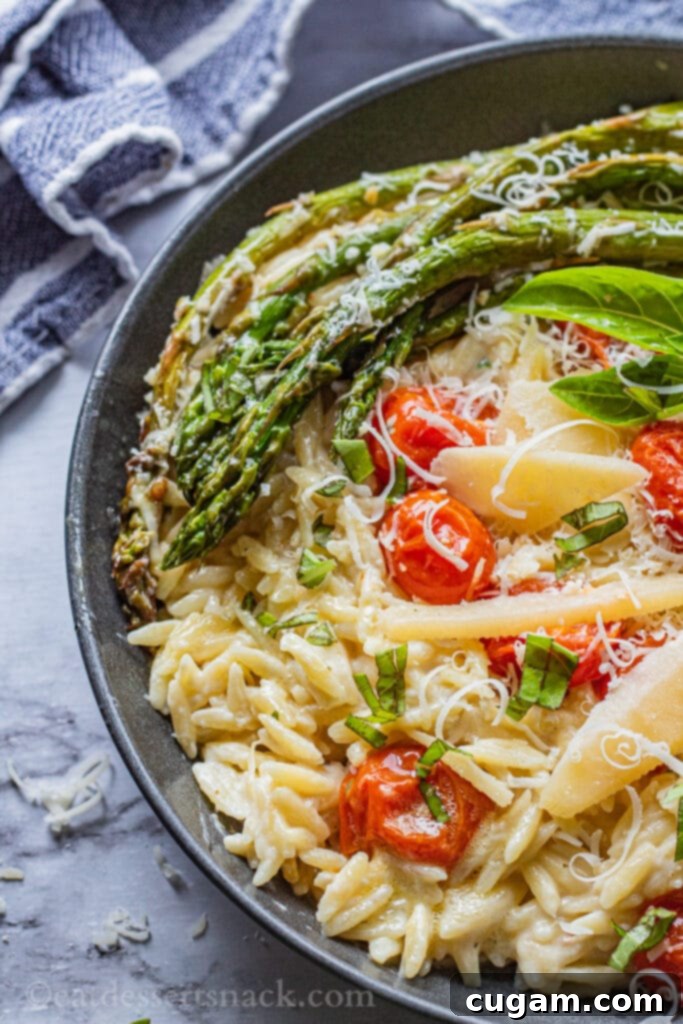 Black pan of creamy orzo pasta topped with roasted asparagus, tomatoes, and freshly grated Parmesan cheese, with a blue tea towel beside it.