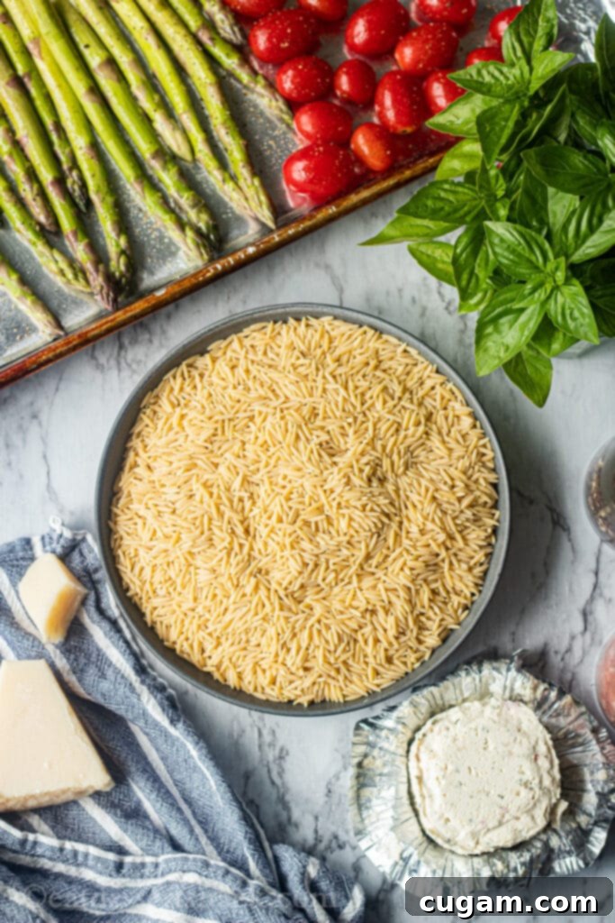 Raw ingredients for creamy orzo pasta: uncooked orzo, fresh asparagus, grape tomatoes, Parmesan cheese on a blue tea towel, basil leaves on a marble board, and unwrapped Boursin cheese on a countertop.