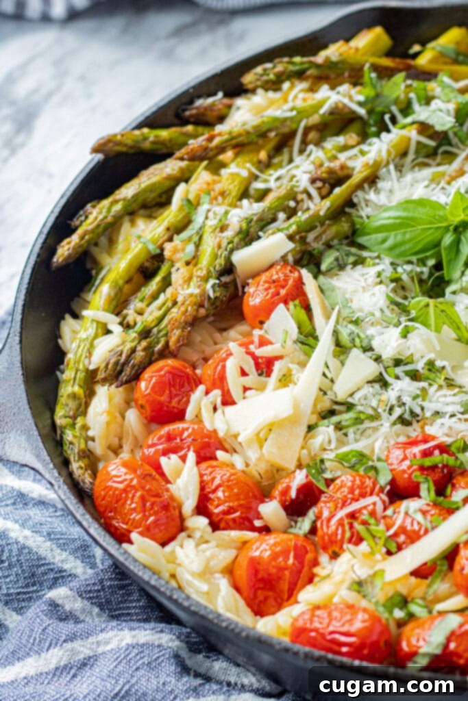 Side view of a black pan filled with cooked creamy orzo pasta, roasted asparagus and tomatoes, and topped with parmesan cheese, with a blue tea towel nearby.