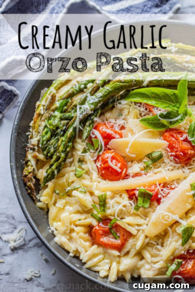 Overhead view of cooked creamy orzo pasta with vibrant roasted tomatoes, asparagus, and fresh basil leaves, generously topped with Parmesan cheese. Text on photo: creamy garlic orzo pasta