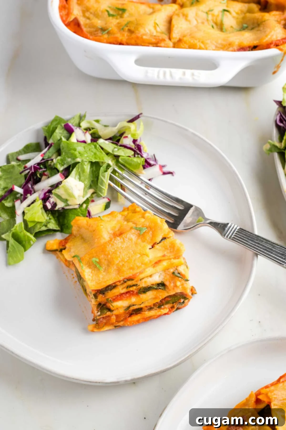 Piece of lasagna shown from the side, so you can see layers of red and white sauce, plus spinach and zucchini.