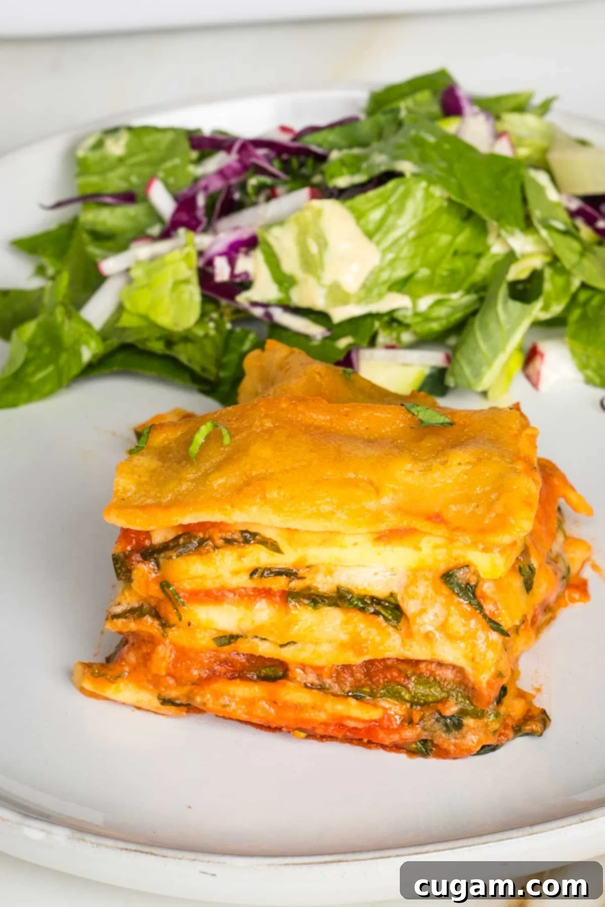 Layers of lasagna noodles, bechamel, red sauce, spinach and zucchini shown from the side with a green salad in the background.