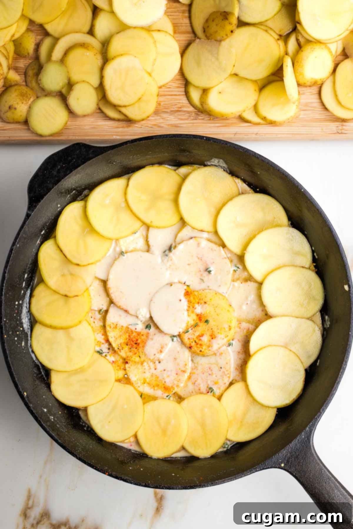 Layers of potatoes, white sauce, herbs, spices in a cast iron skillet to make scalloped potatoes.