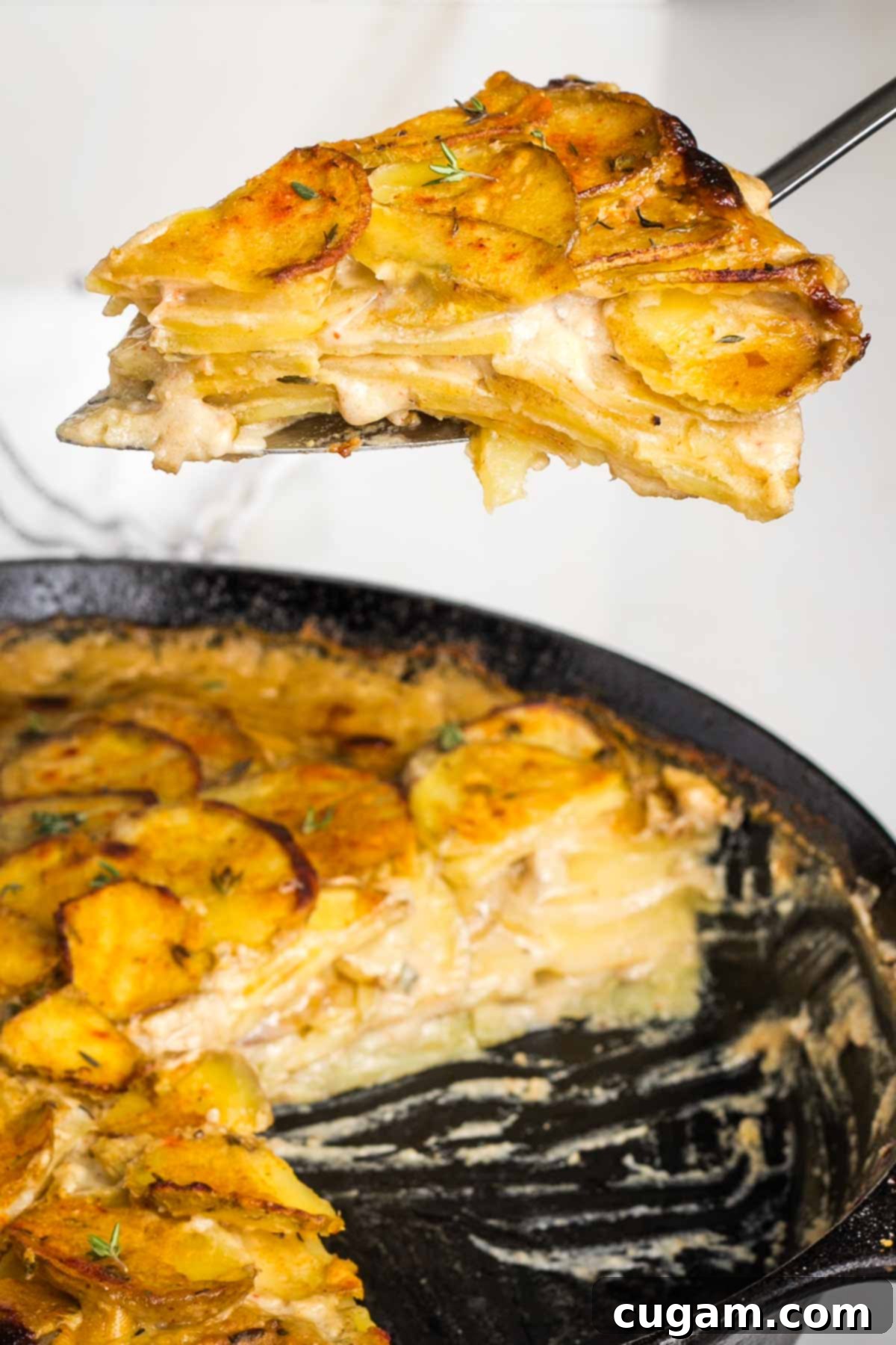 Spatula with a triangle slice of scalloped potatoes coming out of a cast iron skillet.
