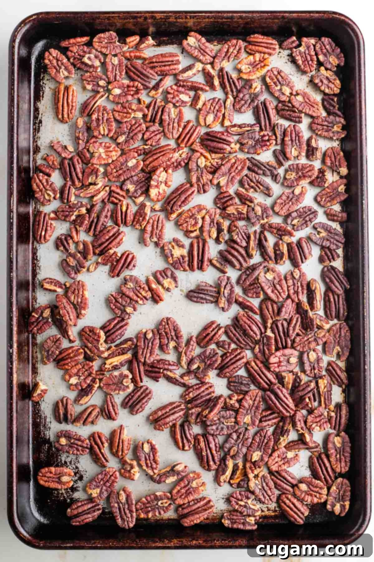Deeply toasted, but not burnt pecans on a baking sheet. 