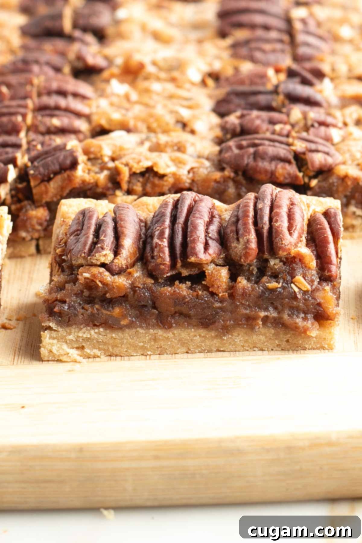 Side view of a pecan pie bar, showing crust, caramel and pecans. 