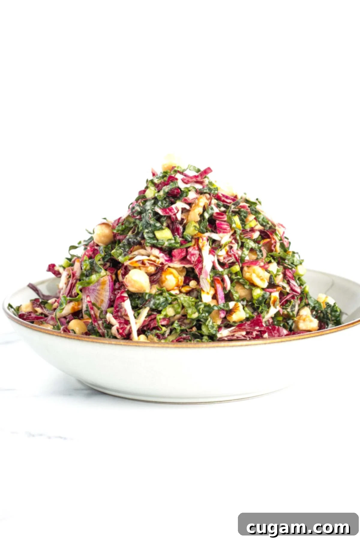 Vibrant Radicchio Chickpea Salad with Tahini 17 img 27040 16