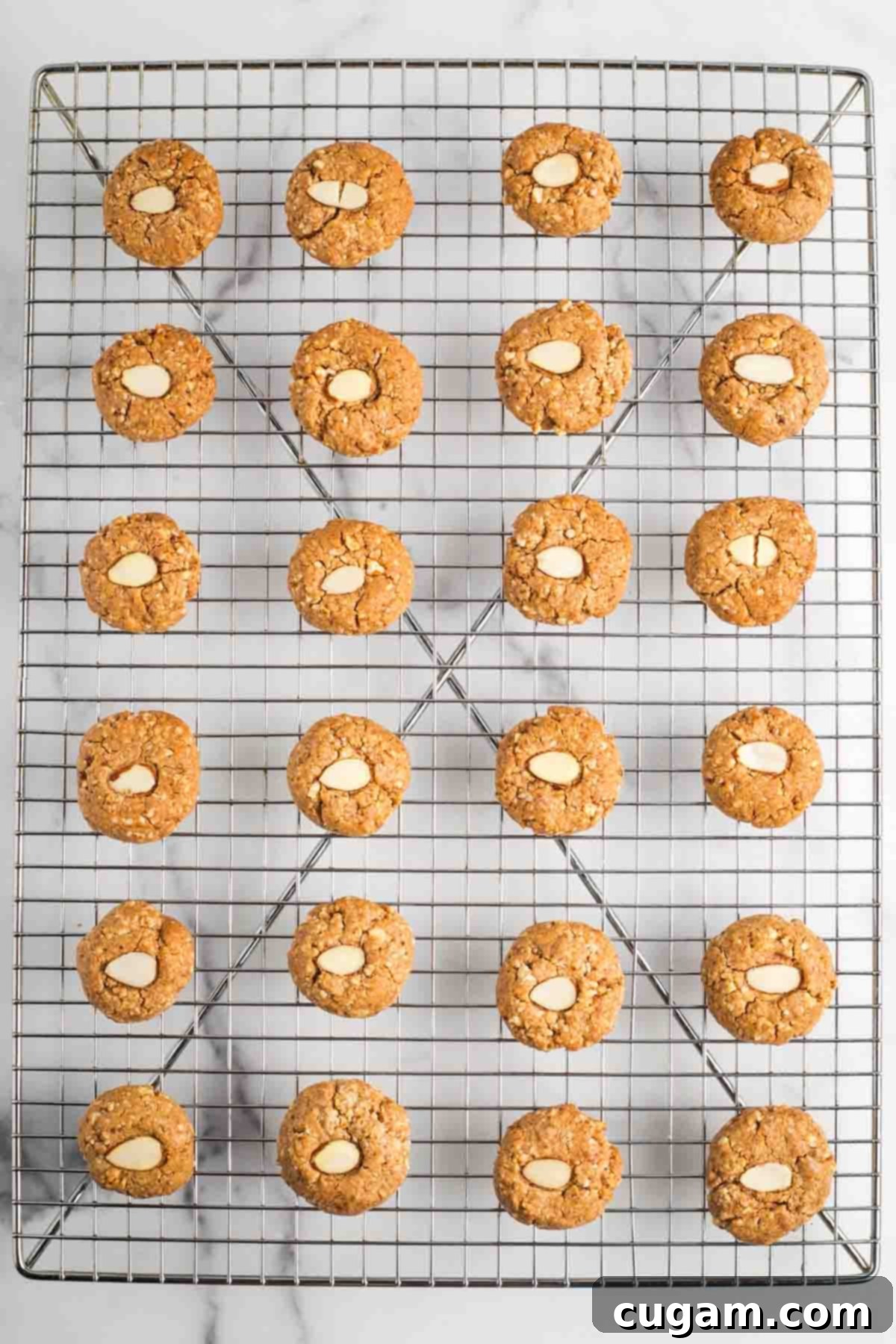 Decadent Vegan Almond Macaroons Enrobed in Chocolate 15 Almond macaroon cookies cooling on a wire rack.
