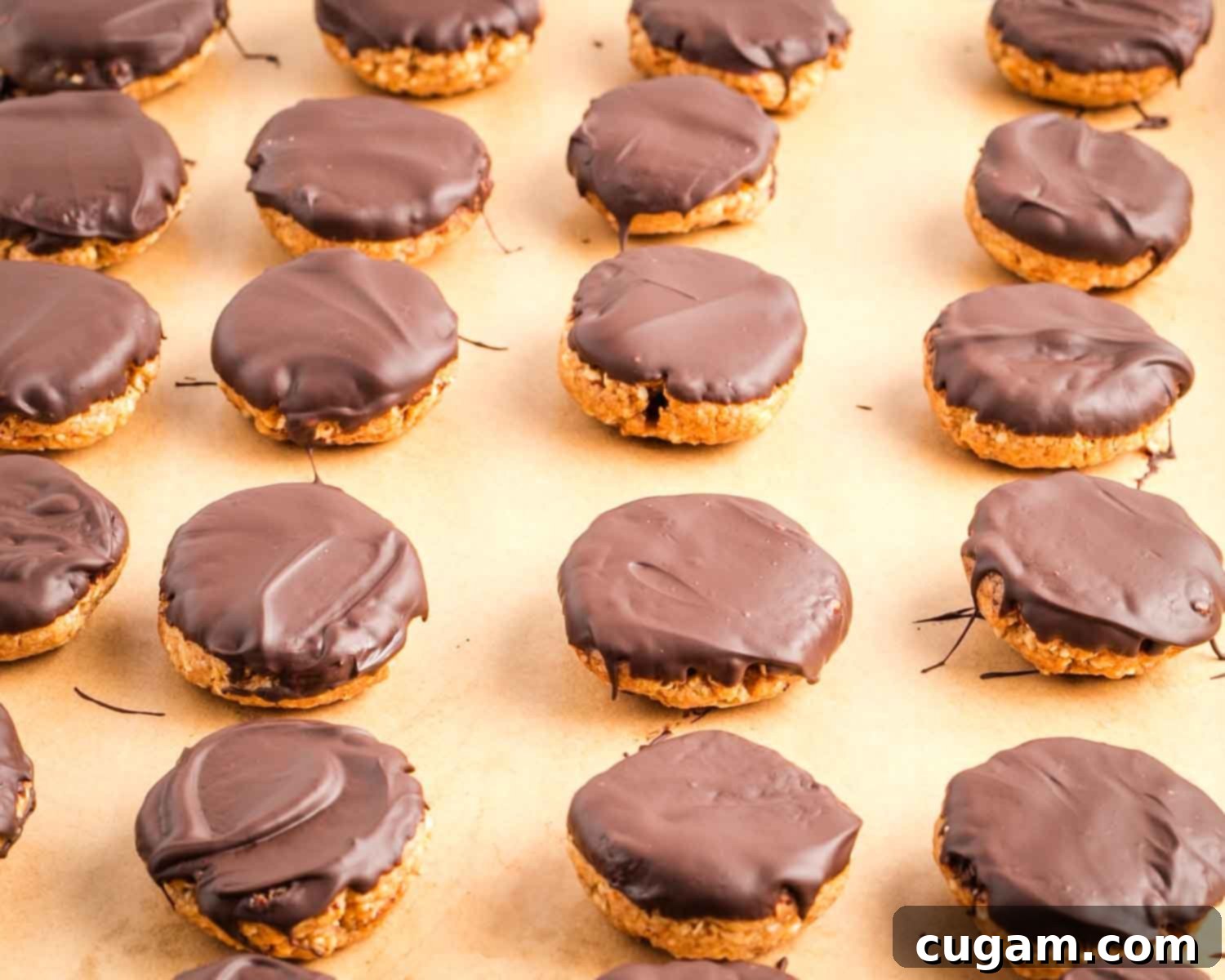 Decadent Vegan Almond Macaroons Enrobed in Chocolate 18 Tray of chocolate-dipped almond macaroons in the refrigerator.