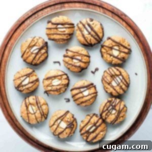 Decadent Vegan Almond Macaroons Enrobed in Chocolate 22 Almond macaroon cookies, bottoms dipped in chocolate and tops decorated with an almond slice and then drizzled with chocolate.