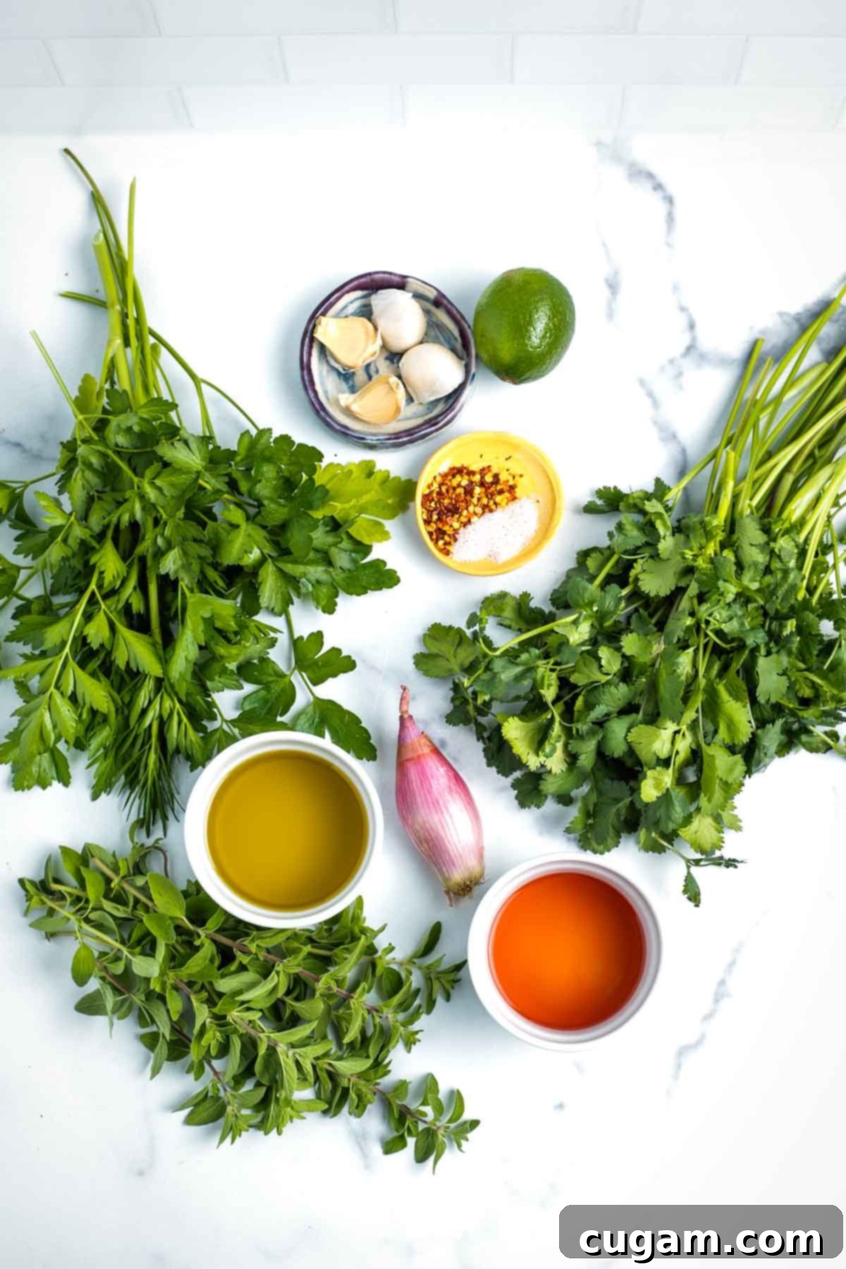 Ingredients for chimichurri sauce including fresh parsley, cilantro and oregano. Also fresh garlic, shallot, olive oil, red wine vinegar, salt and pepper.